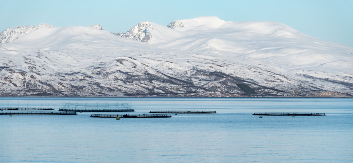Centro de cultivo de salmones en el mar